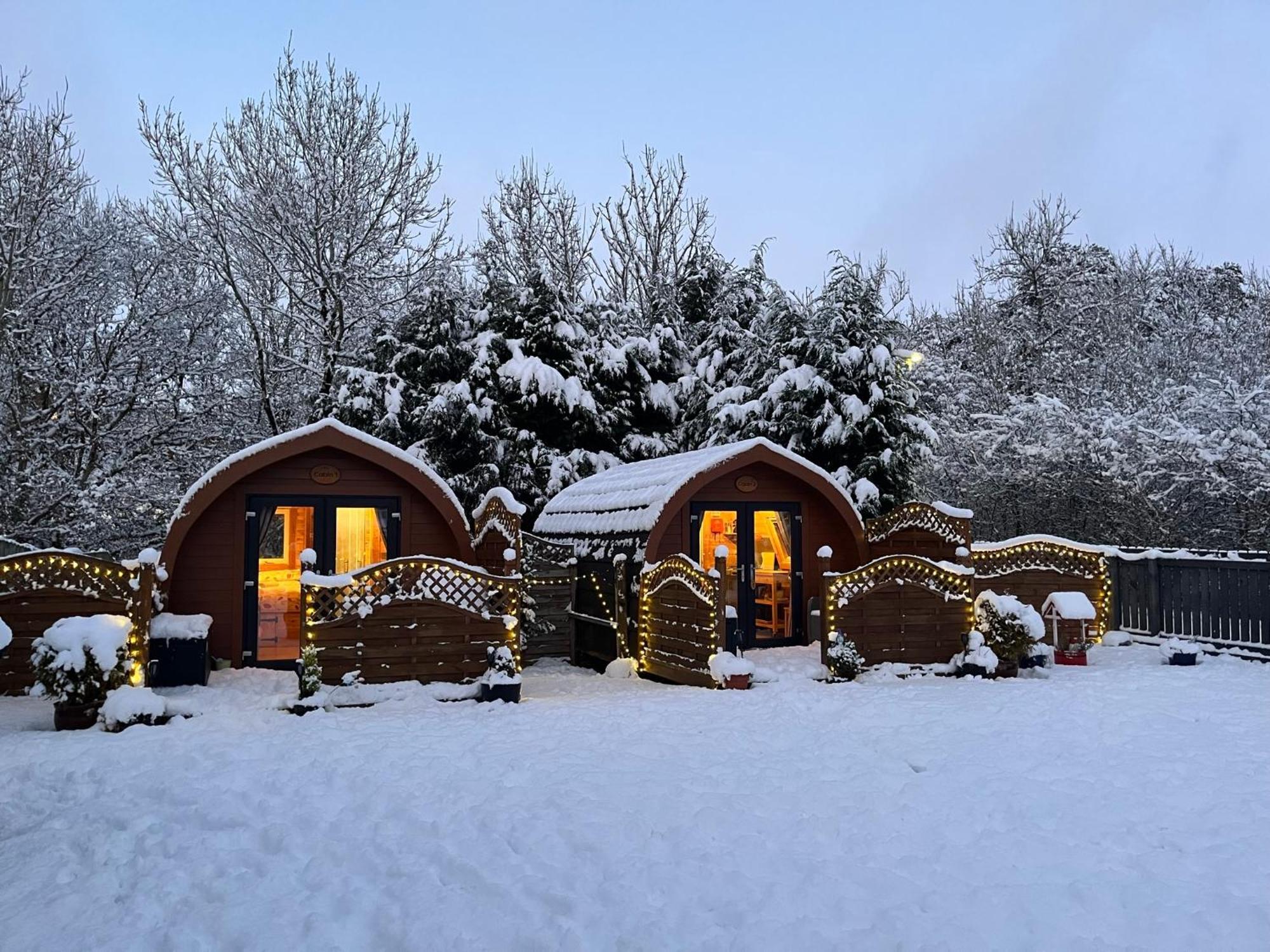 Conifer Cabins Fort William Exterior foto